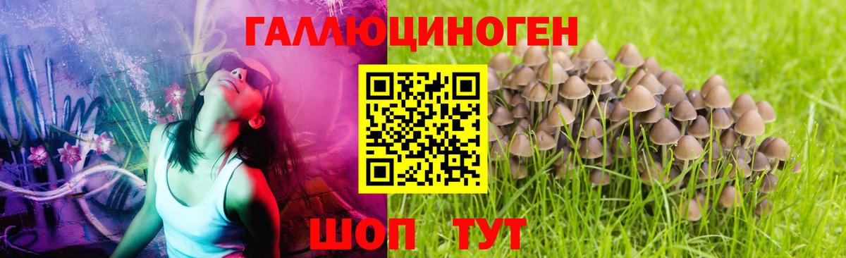 Псилоцибиновые грибы MAGIC MUSHROOMS Лабытнанги